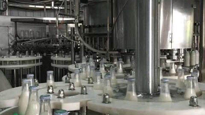 冻干机批发价格：揭秘影响行情的关键因素