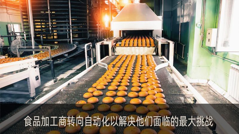 油炸机型号背后的产量密码：看懂参数才能选对设备