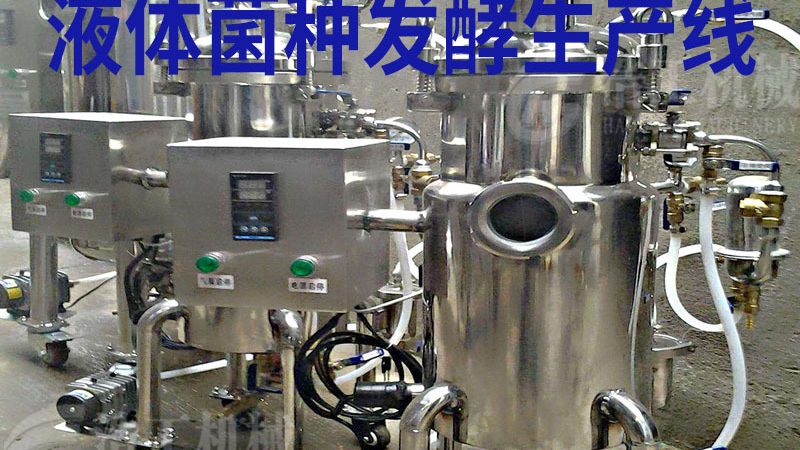 糖果生产线背后的秘密：揭秘上海糖果机械制造**